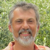 Davide Vignola