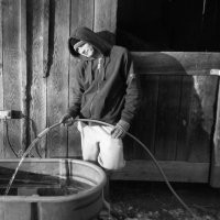 Clifford Dodd