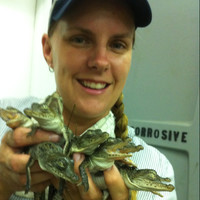 Stephenie Wasilewski