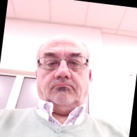 Angelo Pini
