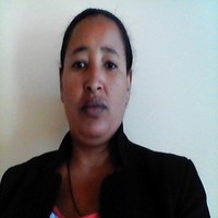 Tsion Assefa