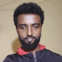Aysheshim Amsalu