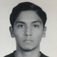 ROMAN ADOLFO Araujo Cabrera