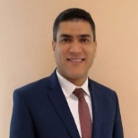 Haitham A. Mottaleb