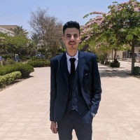 Mahmoud Araby