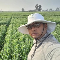 Vivek Sharma