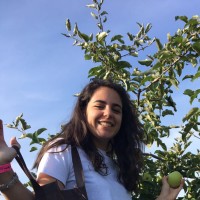 Celina El-Jurdi