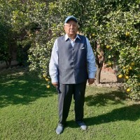 Naseer Ahmed Awan
