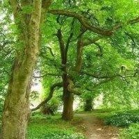 莫光英