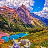 Mohamed Suhail Hanif