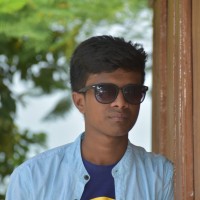 Amir Hamza