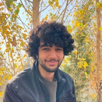 Amirali Homayouni