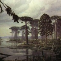 Gabriel Douglas da Cruz