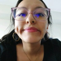 Fiorela Nicole Santillana Sanja