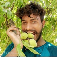Shekhar Mourya