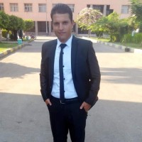 Hesham Rashad Abdelatty