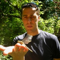 Peter Newbold CECOL MCIEEM MEnvSci