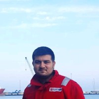 Anıl Eltemur