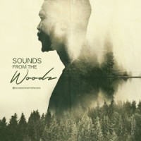 Sounds From The Woodz