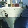 Export Food