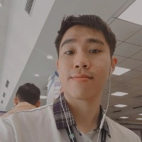 Anh Duc Ngo