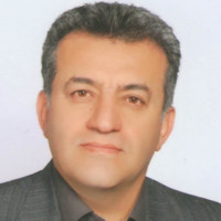 Ali Rostamian