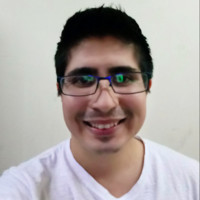 Bryan Ricardo Piñeiros Yance