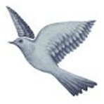 Djiby Chimère Gueye