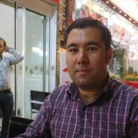 Majid Mirzaei