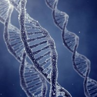 Sebastián Costantini