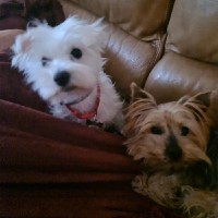 Alejandro Martínez Martín