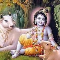 Soma Kishore