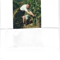 Kjell Andersson