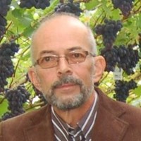 Koos Koolstra