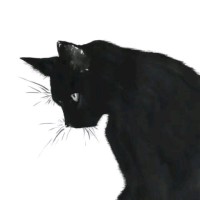 姜鸿鑫