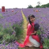 Hoa Nguyen