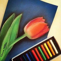 Estefany Giron Castellanos