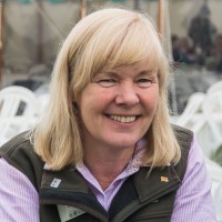 Judy Willis