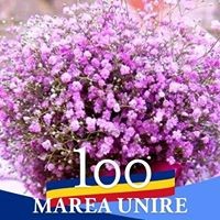 Marina Tomulet