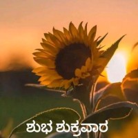 Puttanna B