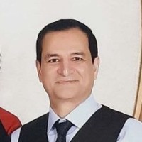 Mojtaba Davoudi