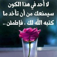 Aliaa Ahmed