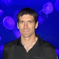 Patrick Jaussaud