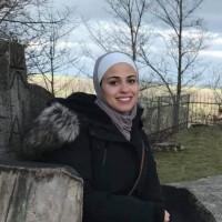 Majd Alqaisi