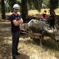 Jeroen Harink