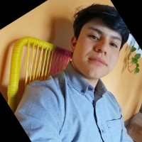 Luis Eduardo Sil Flores