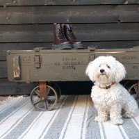 Arie en Nelleke Benschop