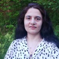 Fatemeh Lessan
