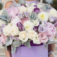 Shiningstar Events Talents