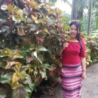 Hnin Thae Phyu